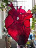 Large Anatomical Heart Suncatcher