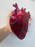 Anatomical Heart Suncatcher