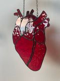 Anatomical Heart Suncatcher
