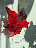 Maple Leaf