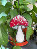 Mushroom - Amanita Muscaria