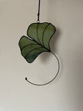 Ginkgo Leaf