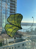 Ginkgo Leaf