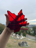 Maple Leaf