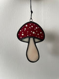 Mushroom - Amanita Muscaria
