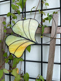 Ginkgo Leaf