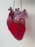 Anatomical Heart Suncatcher