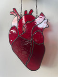 Anatomical Heart Suncatcher
