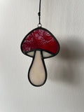 Mushroom - Amanita Muscaria