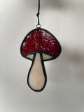 Mushroom - Amanita Muscaria