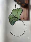 Ginkgo Leaf