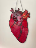 Large Anatomical Heart Suncatcher