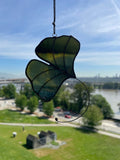 Ginkgo Leaf