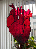 Large Anatomical Heart Suncatcher