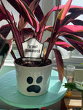 Tombstone Plant Stake