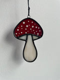 Mushroom - Amanita Muscaria