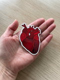 Anatomical Heart Sticker