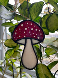 Mushroom - Amanita Muscaria
