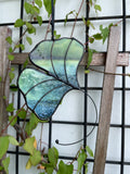 Ginkgo Leaf