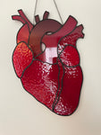 Large Anatomical Heart Suncatcher