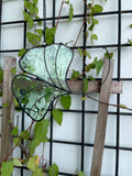 Ginkgo Leaf
