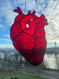 Anatomical Heart Suncatcher
