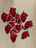 Anatomical Heart Sticker