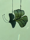 Ginkgo Leaf