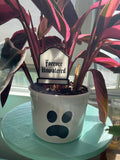 Tombstone Plant Stake