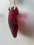 Anatomical Heart Suncatcher
