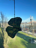 Ginkgo Leaf