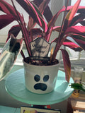 Tombstone Plant Stake