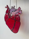 Anatomical Heart Suncatcher