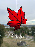 Maple Leaf
