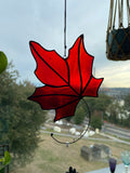 Maple Leaf