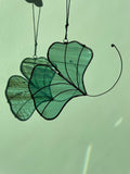 Ginkgo Leaf