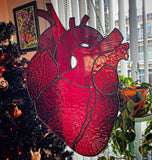 Large Anatomical Heart Suncatcher