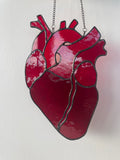 Anatomical Heart Suncatcher