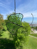 Ginkgo Leaf