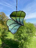 Ginkgo Leaf