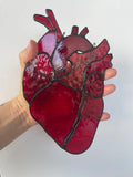 Anatomical Heart Suncatcher