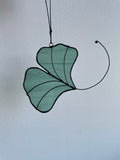 Ginkgo Leaf
