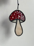 Mushroom - Amanita Muscaria