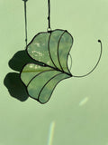 Ginkgo Leaf