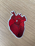 Anatomical Heart Sticker