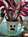 Tombstone Plant Stake