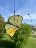 Ginkgo Leaf