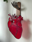 Large Anatomical Heart Suncatcher